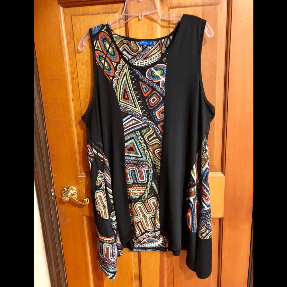 Aster by Firmiana 2X autumn tunic top boutique